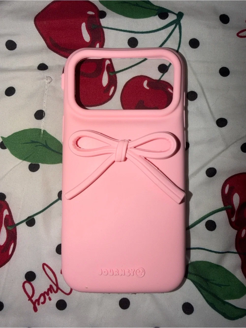 iPhone 17 Pro Max Case